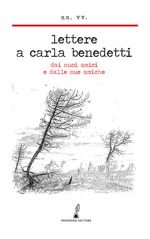 Lettere a Carla Benedetti-image